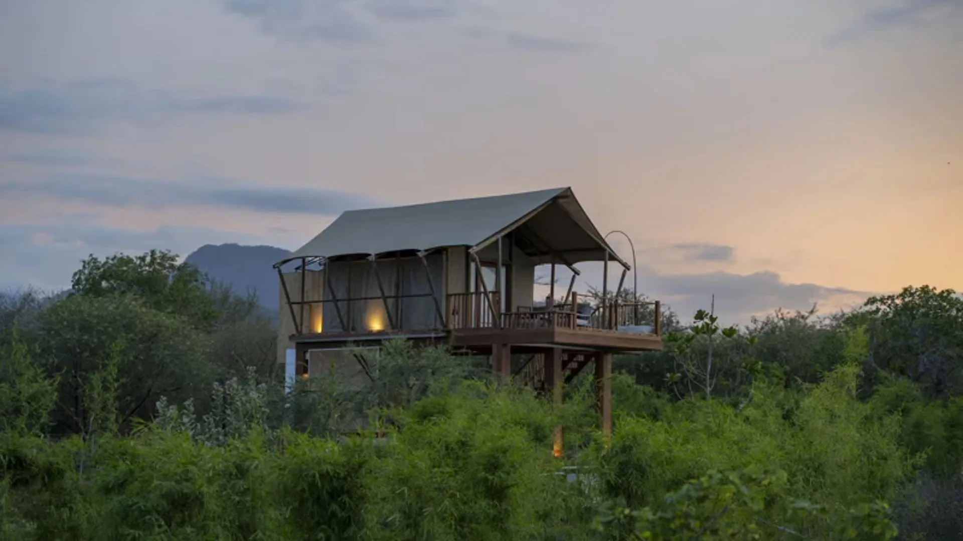 Jungle Tent (ADULT ONLY)